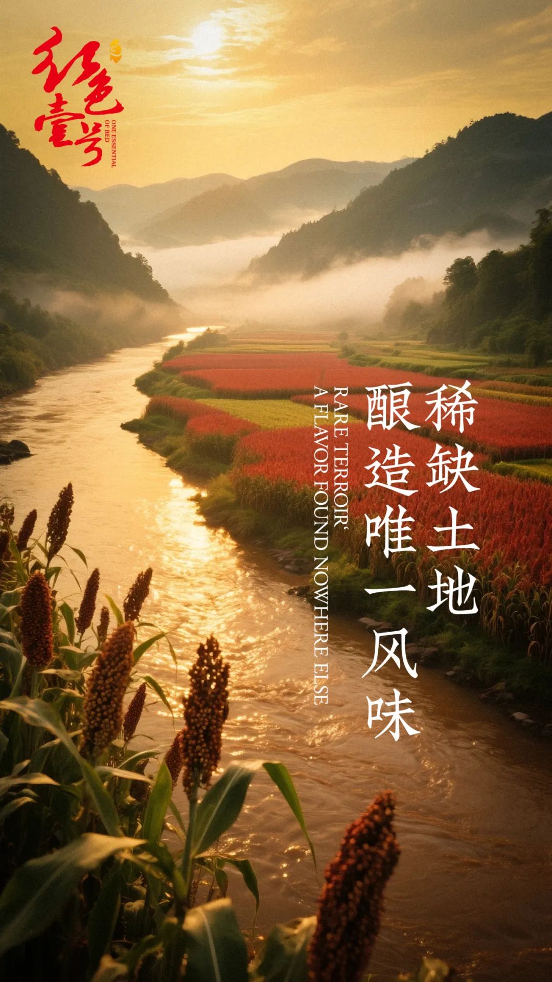 圖片 后消費(fèi)時(shí)代硬通貨:醬酒的“時(shí)間金庫”屬性(圖1)