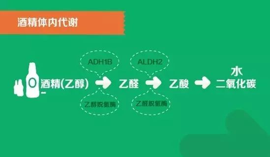 酒后為什么要多喝水？起到什么作用？(圖2)