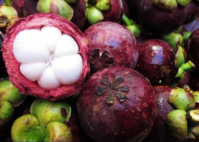 今日大雪，紅色壹號(hào)提醒養(yǎng)生注意這四點(diǎn)一起溫暖過(guò)冬(圖8)
