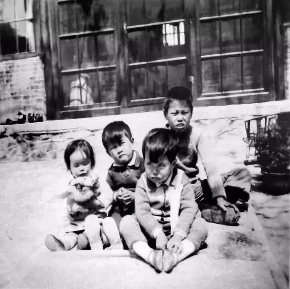為有犧牲多壯志，敢教日月?lián)Q新天——楊振寧談新中國之行印象(圖3)