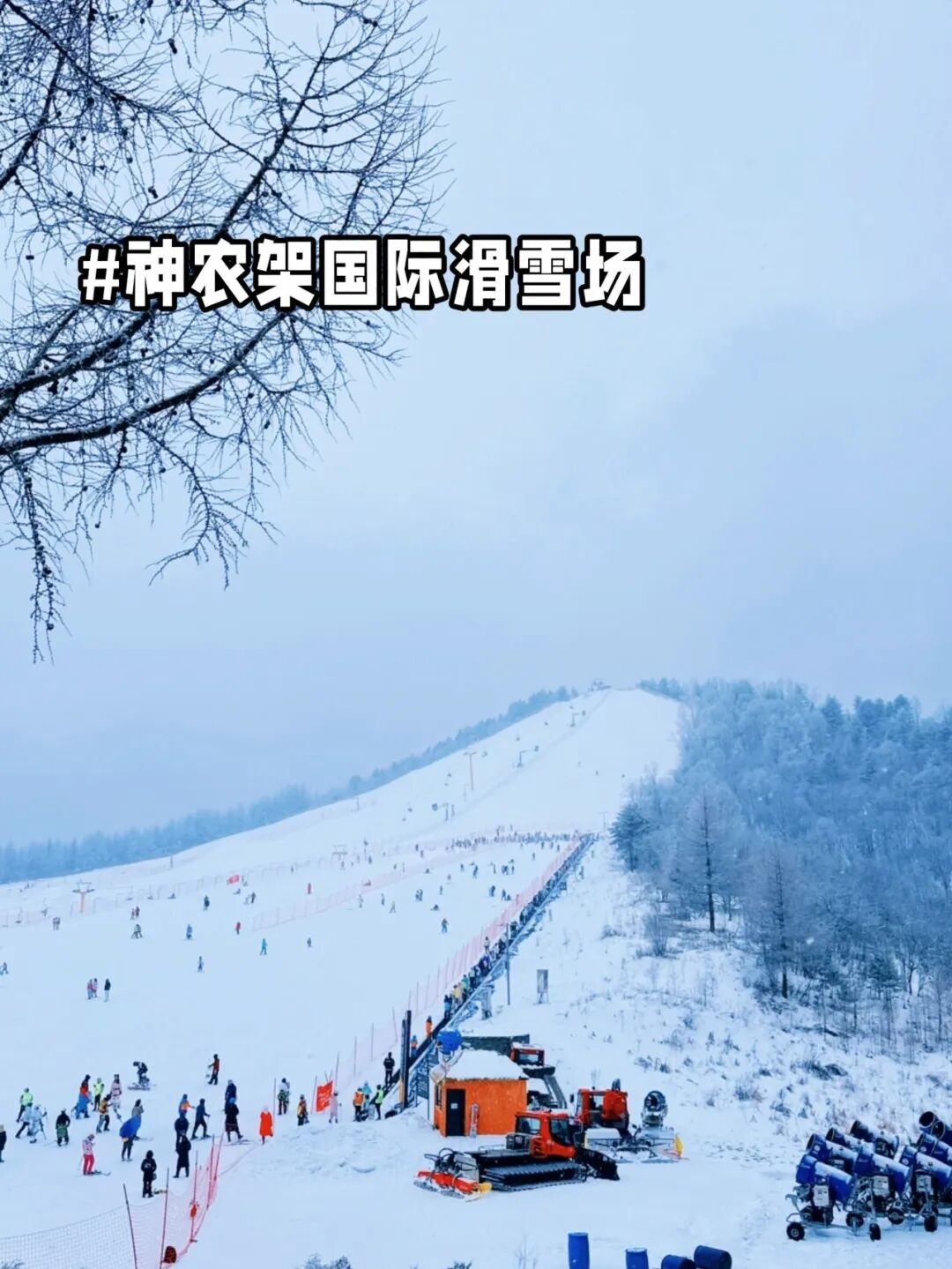 image.png 中國一生必去的10個(gè)賞雪地??(附12月-2月旅行地圖)(圖8)