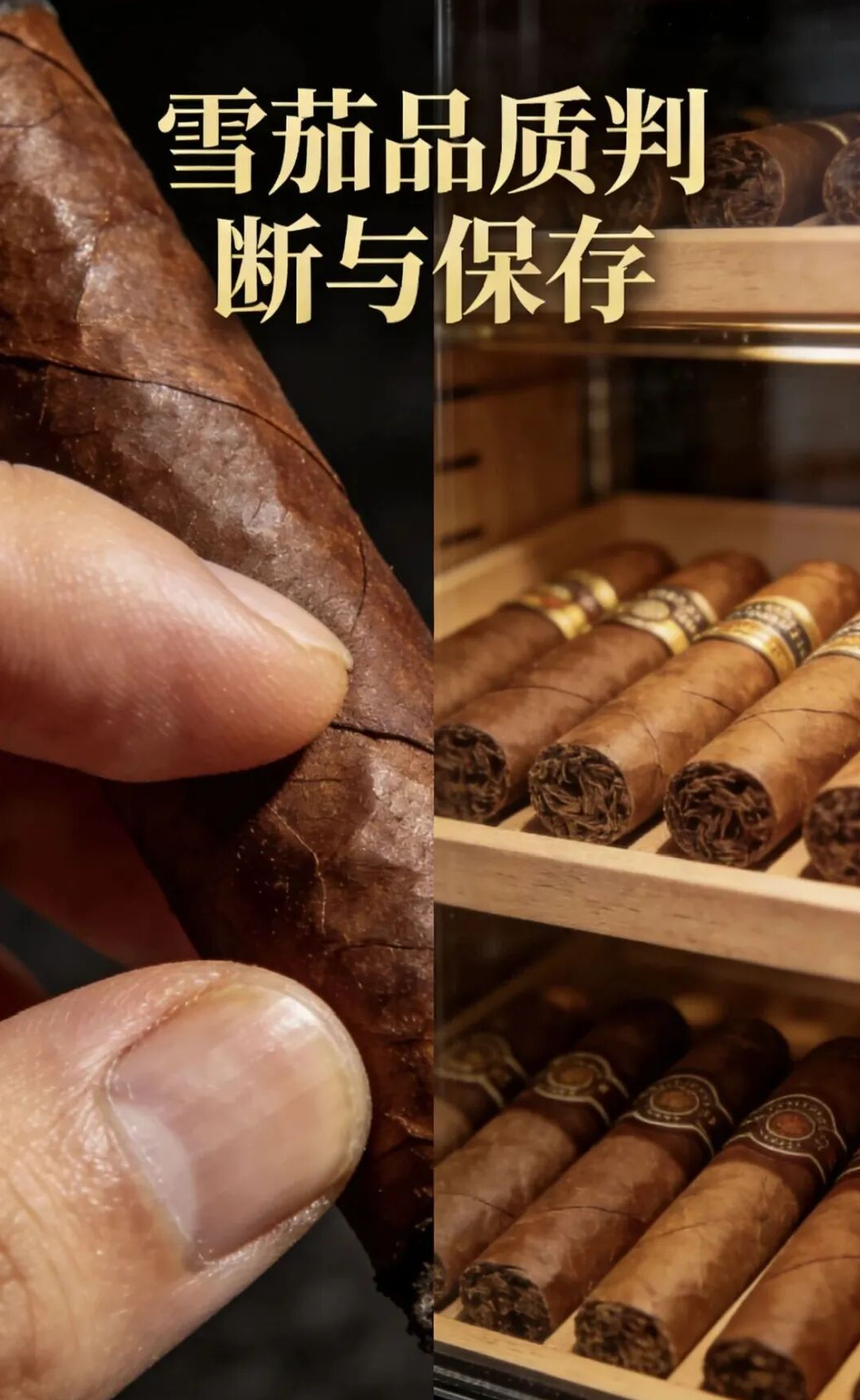 四個雪茄入門必知的知識(圖2) 四個雪茄入門必知的知識(圖2)