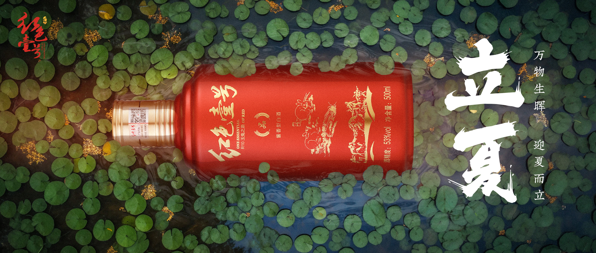 酒文化與健康生活 | 立夏話酒：從業(yè)者告訴你，醬酒怎么喝才養(yǎng)人(圖2)