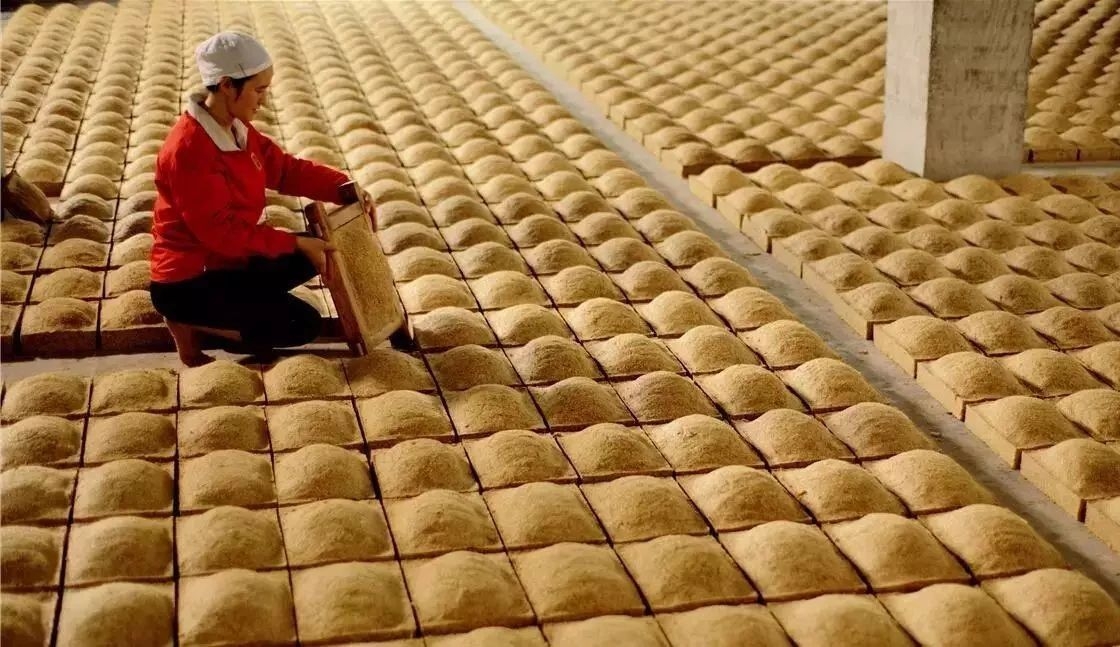 白酒中為什么要加入酒曲(圖2)