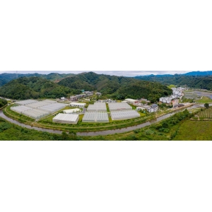 黃坤明王偉中黃楚平到清遠調(diào)研：提振信心 搶抓機遇 增強動能 