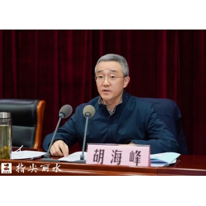 在這個新年會議上，胡海峰說