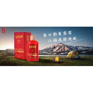 春日野餐露營(yíng)，小酒選擇攻略