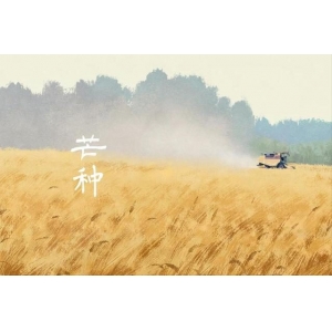 芒種將至，俗語“芒種不補，夏季受苦”，芒種怎么補？吃什么更受