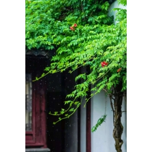 天人共釀、道法自然：紅色壹號醬香酒與二十四節(jié)氣到底有什么聯(lián)系