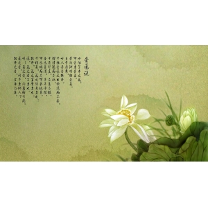 人民日?qǐng)?bào)：五千年來高水平的40首詩詞