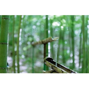 后半生最好的活法：一半在藏，一半在露