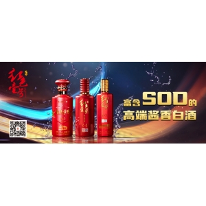 43萬人追蹤研究：主食吃得少，壽命長不了