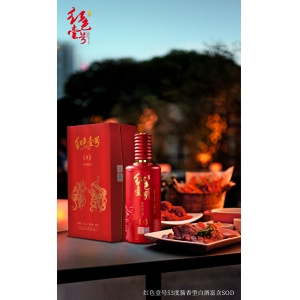 杯中酒，心中夢(mèng)，浮沉隨浪任西東