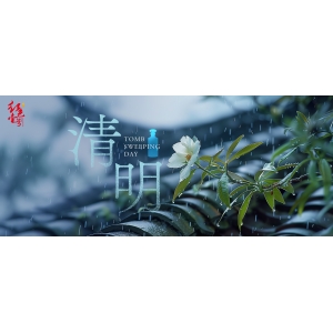 清明寄哀思，攜酒共賞春光好