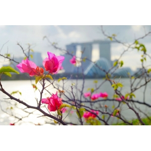 李白最網(wǎng)紅的一首詩(shī)，太美了！