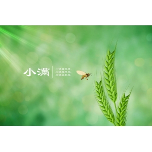 今日小滿｜人生不求太滿，小滿即是圓滿