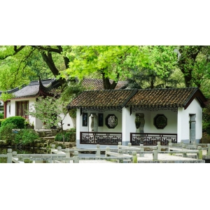 夏日圖鑒，有一院子足矣