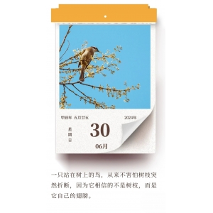 努力提升自己，比依靠他人要更可靠 ???