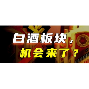 茅臺(tái)上漲8.80%！白酒板塊拉升