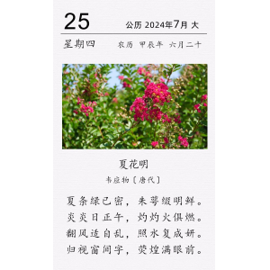 韋應物《夏花明》