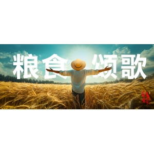 世界糧食日頌歌：醬香之魂，堅(jiān)守“糧”心，不負(fù)“食”光