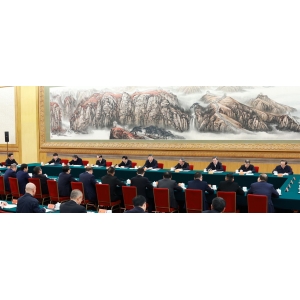 習近平：民營經(jīng)濟發(fā)展前景廣闊大有可為 民營企業(yè)和民營企業(yè)家大