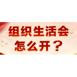 組織生活會怎么開？