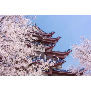 100首關(guān)于春天的詩詞，寫盡人間春色，共赴一場春日盛宴！