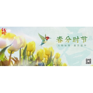 飛天下跌！茅臺酒3月20日行情價