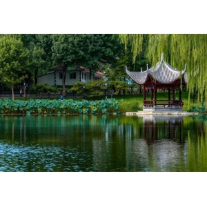 8首夏夜詩詞：我在等風(fēng)，也等你