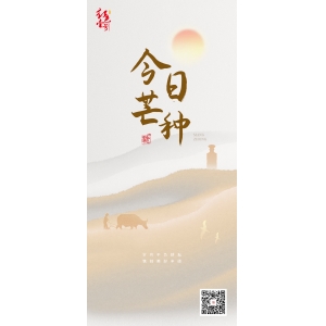 芒種：谷物之芒，生命之光 