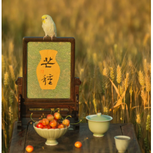 唐 · 元稹《詠廿四氣詩 · 芒種五月節(jié) 》