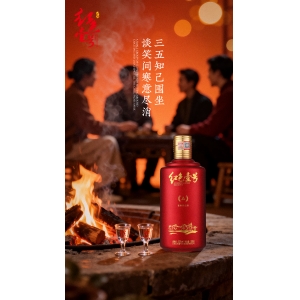 今夜，讓酒替我說話