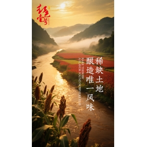 40+中年人最無(wú)聲的炫富你占了幾條？