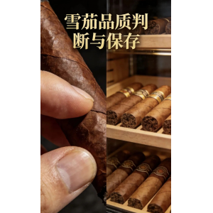 四個雪茄入門必知的知識