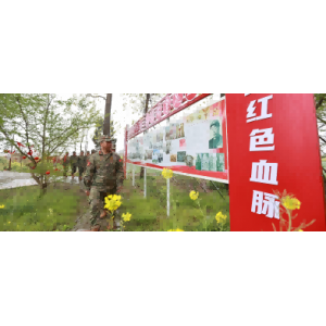 尋找“黑將軍”
