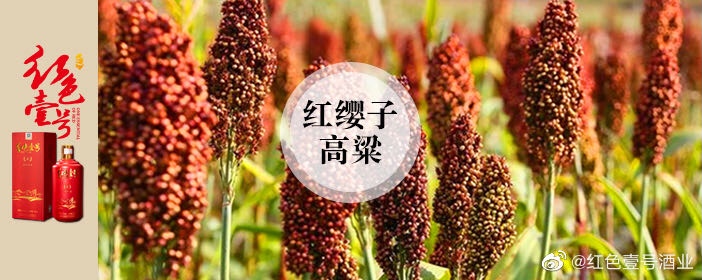 紅色壹號(hào)精品醬酒的魅力已經(jīng)征服越來越多的人，對(duì)它的了解越多，對(duì)它的喜愛也就會(huì)越深。懂與不懂醬酒，只差這篇文章。(圖3)