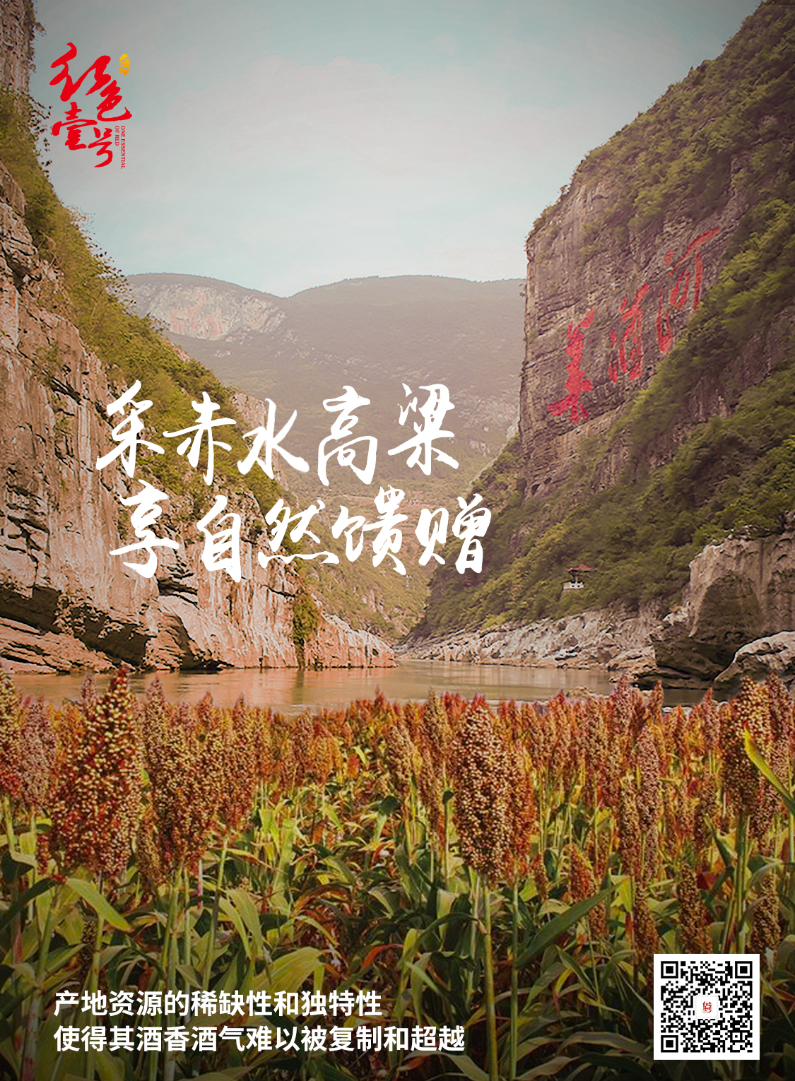 【醬酒知識(shí)】為什么喝醬酒越喝越健康？(圖5)