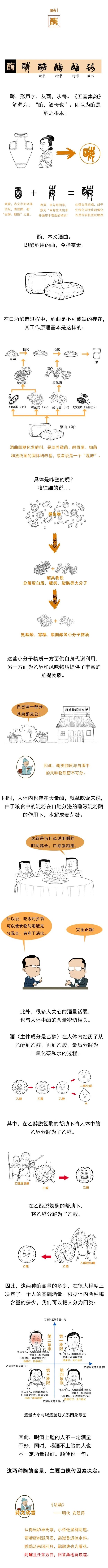 說“酶”：你的酒量取決于遺傳？(圖1)