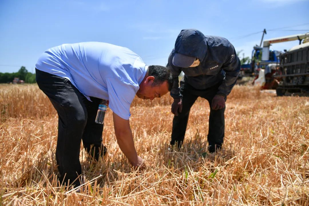 農(nóng)業(yè)農(nóng)村部：解決承包地細(xì)碎化分為兩種路徑(圖3)