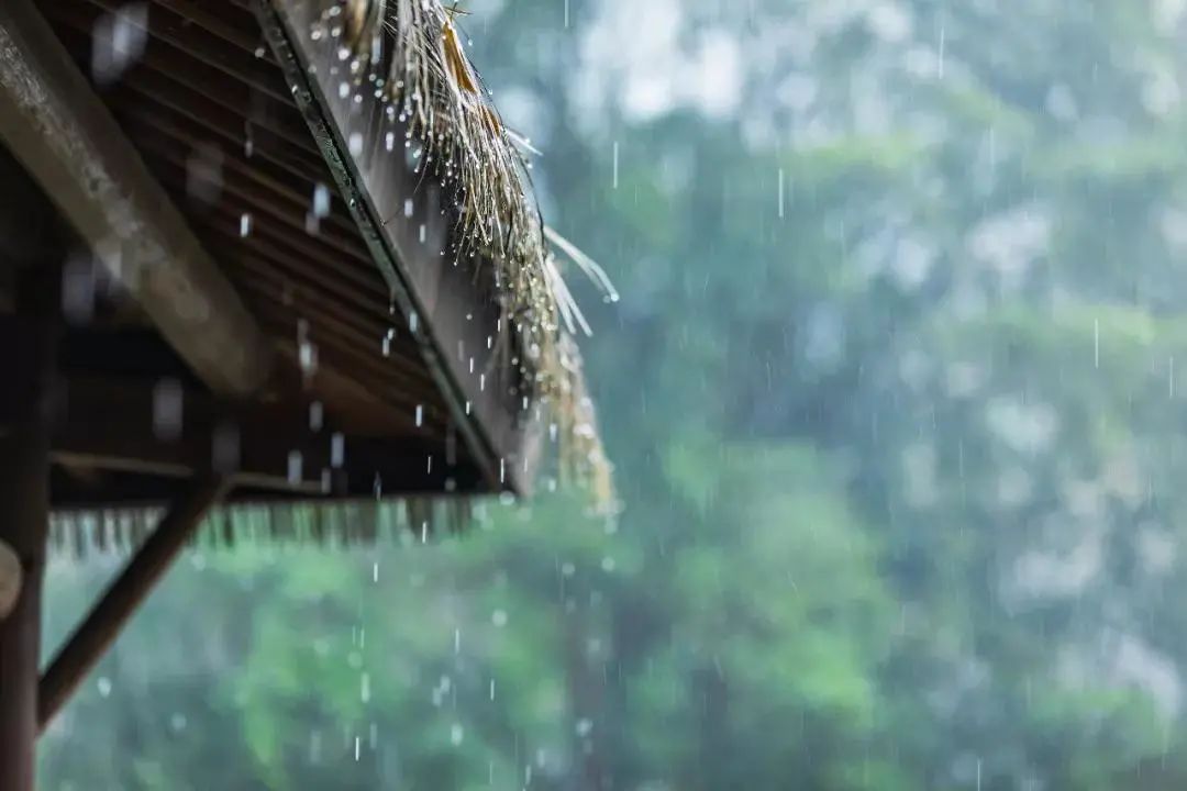 喝酒，可以成為保存自己的方式(圖1)